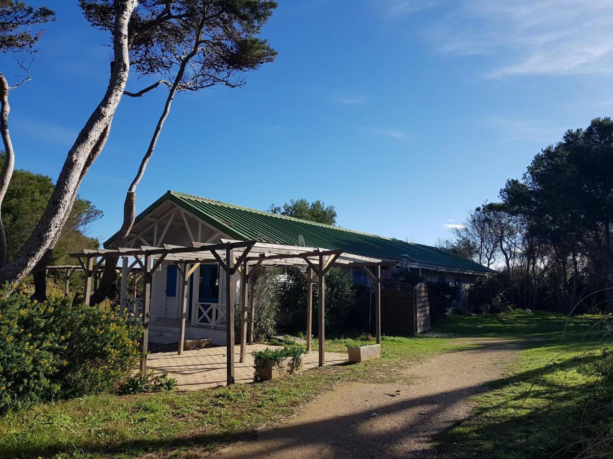 Le Studio De Giens Hyères Exteriör bild
