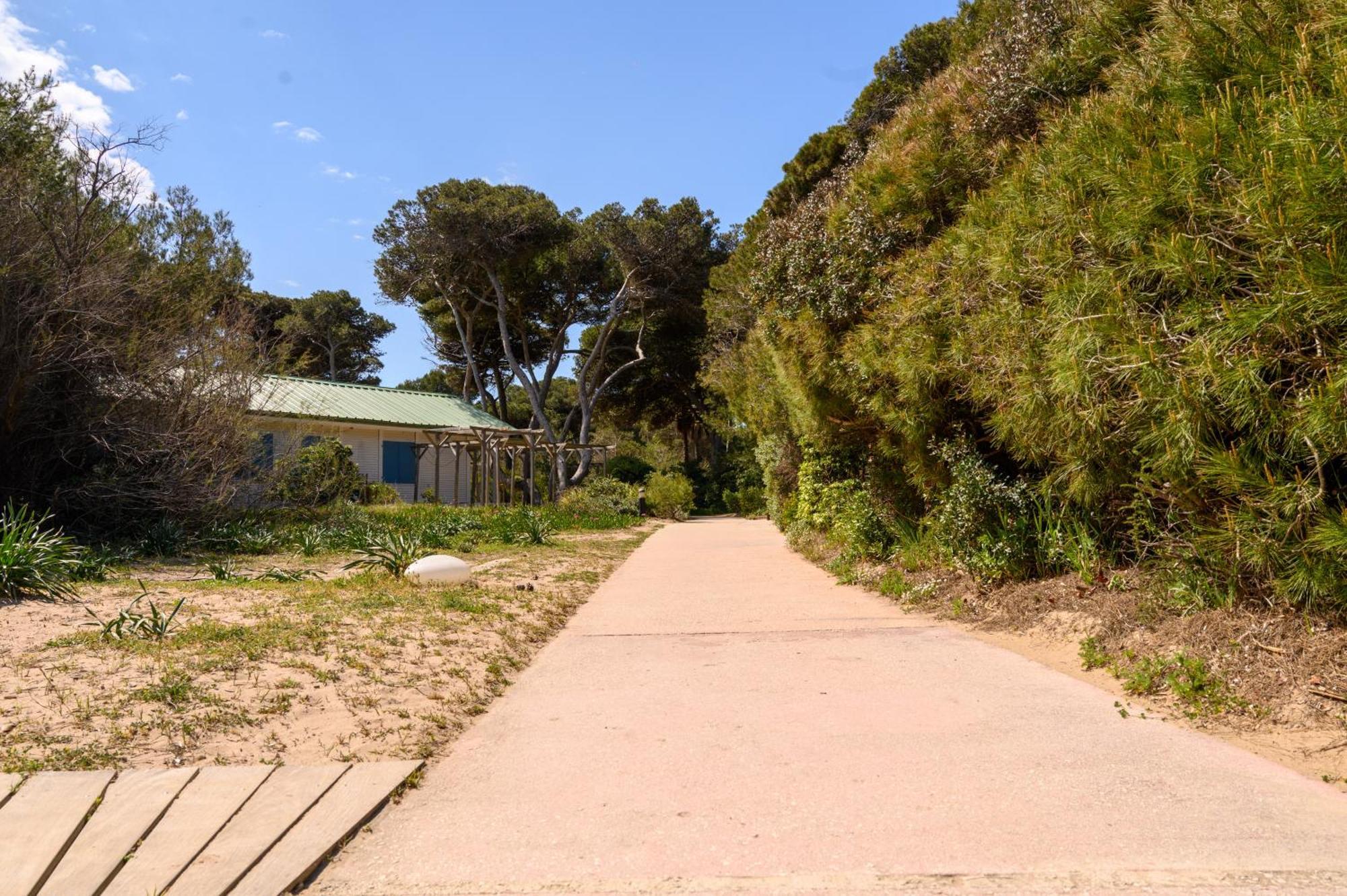 Le Studio De Giens Hyères Exteriör bild