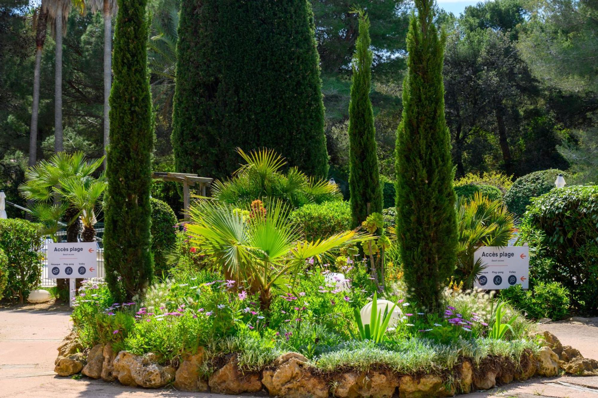 Le Studio De Giens Hyères Exteriör bild